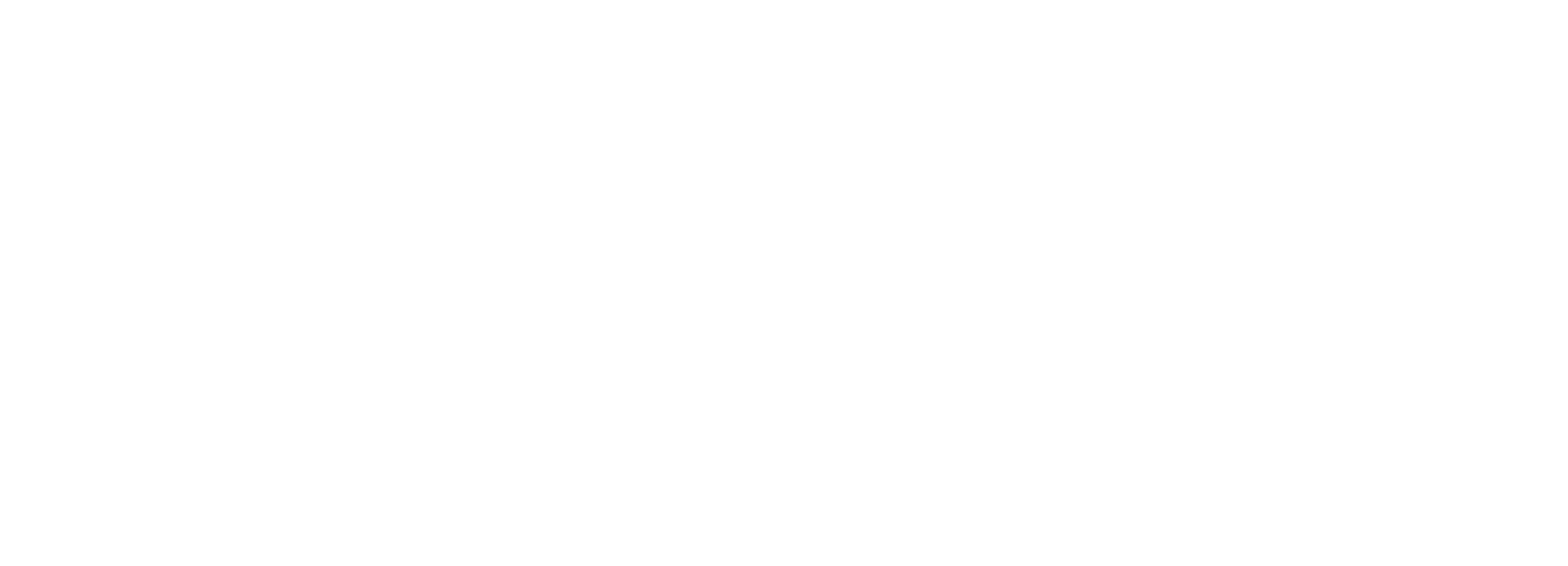 Nexfit Logo